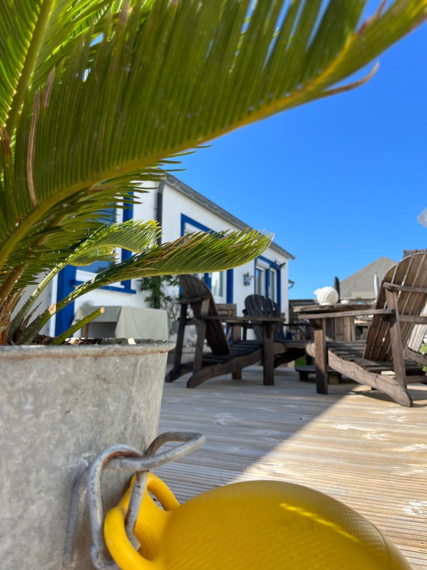 Bed and Breakfast L'Atelier De Mezareun Ushant Екстер'єр фото